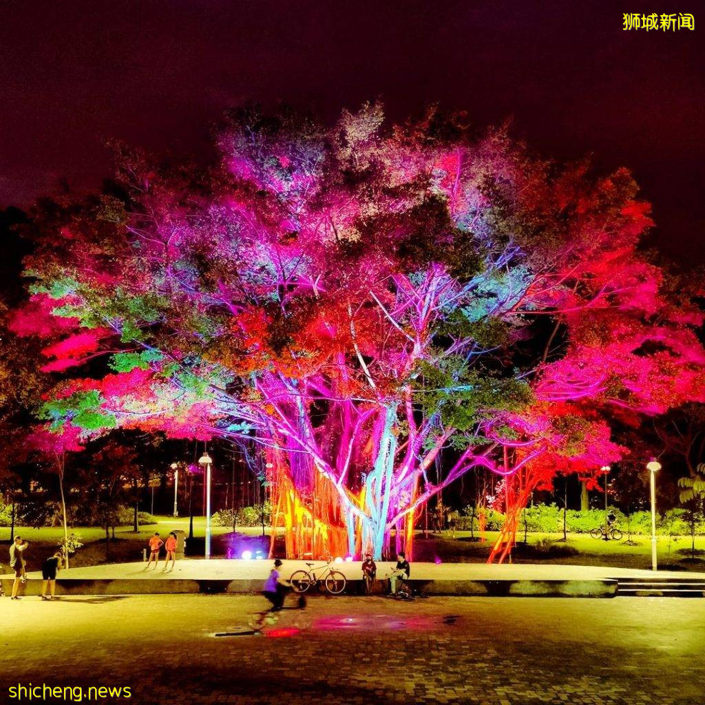 夜太美！Jurong Lake Gardens中秋灯饰、展览至10月3日🏮鲨鱼八爪鱼灯笼、呆萌可爱🐙 