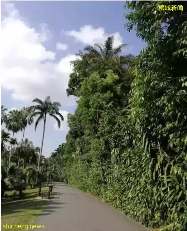 异国生活 如果我还在新加坡工作,会不会更安稳