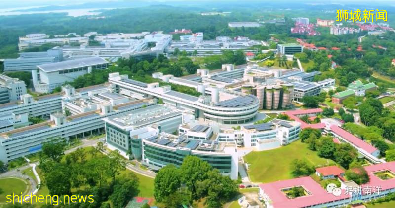 新加坡教育（三）!