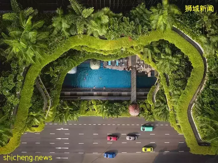 度假推荐 新加坡超赞的6家豪华酒店，是您的假期好选择