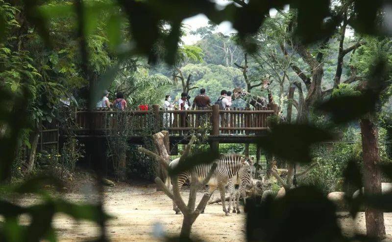 新加坡設聯絡處助長者兌換旅遊消費券,全體公民可通過個人電子政府密碼領取