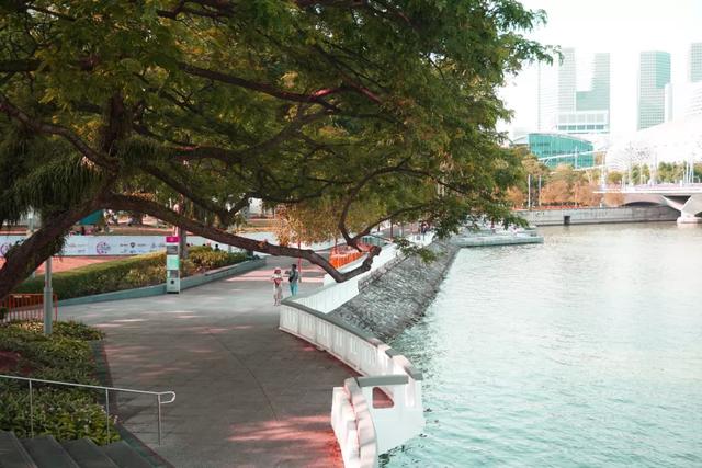 新加坡旅行|6天5晚奇遇狮城的日与夜