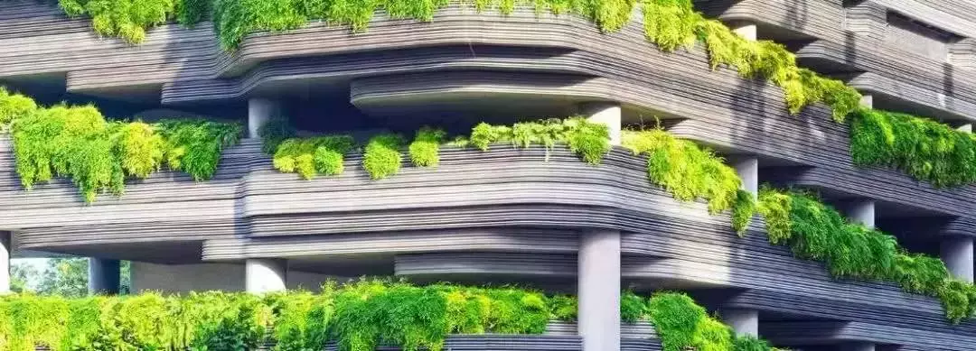 新加坡批准《區域全面經濟夥伴關系協定》