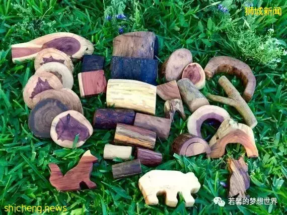 拿著鏟子、放大鏡、昆蟲觀察箱,帶娃去新加坡昆蟲森林冒險