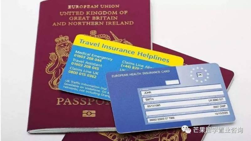 新加坡都有哪些准证