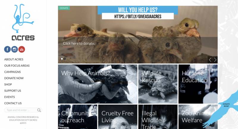 幹貨！如何在新加坡參加志願活動