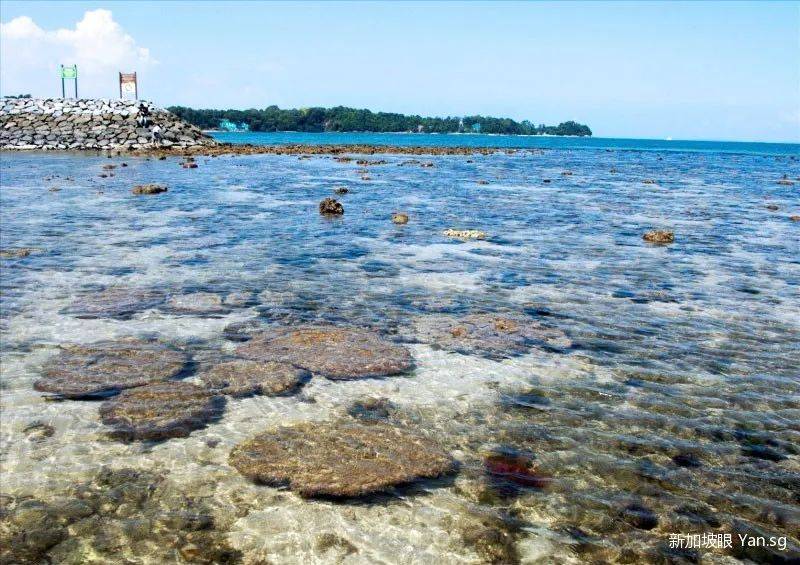 全览！教你如何玩新加坡的六大离岛