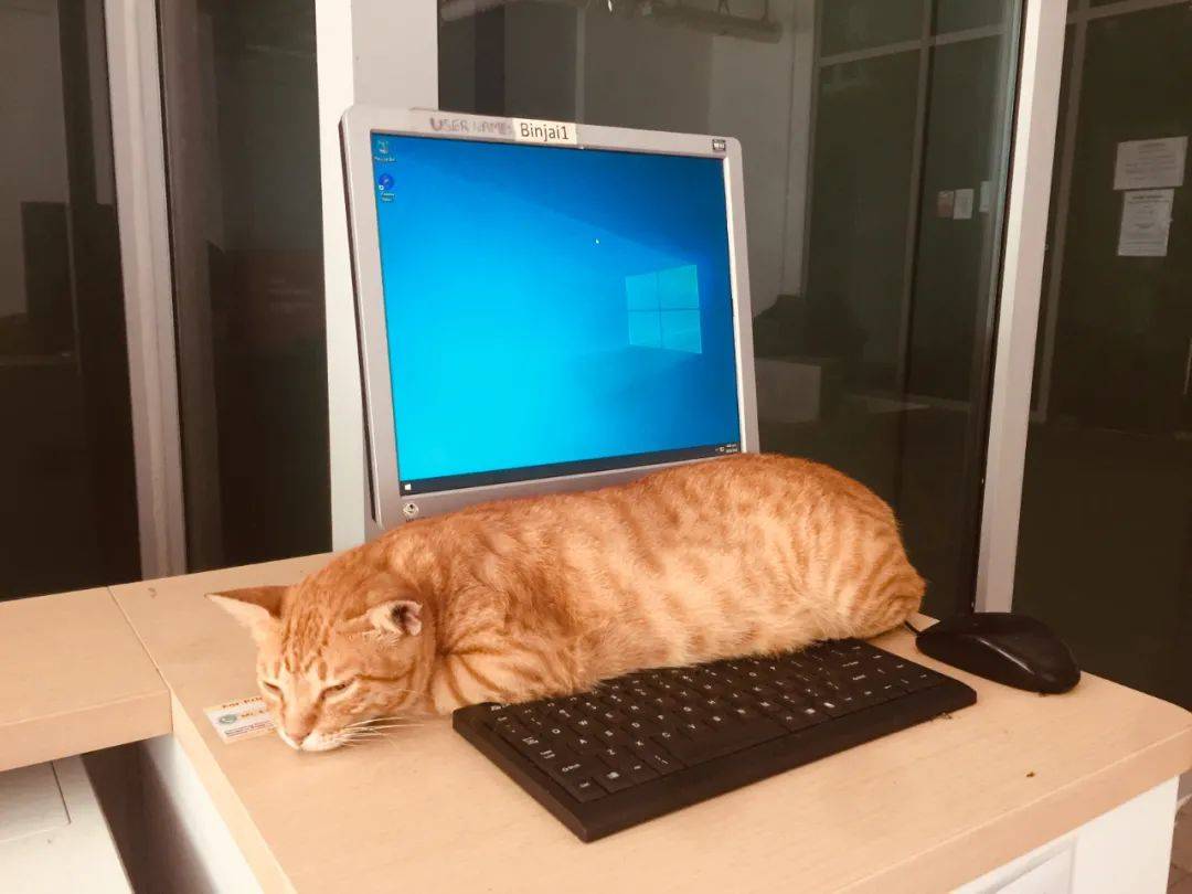 南洋理工大學，每一幀都很美