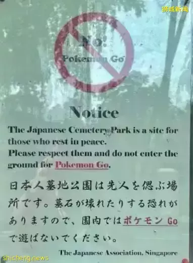 “精靈寶可夢”玩家，請勿闖入墓地“捉精靈”
