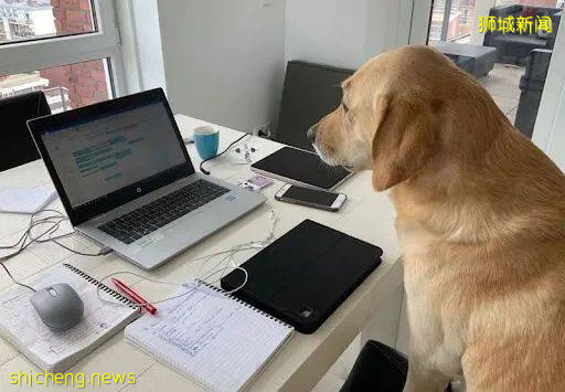 居家办公成既定模式,咖啡机热卖 新加坡性价比最高的咖啡机推荐