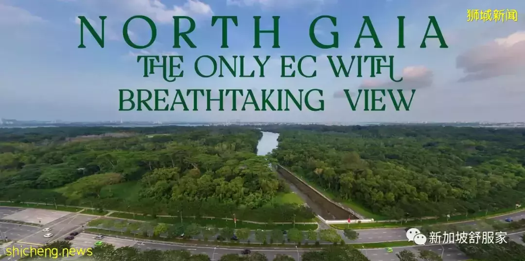 分析師：建築成本高漲以及供不應求的情況 會繼續推高EC項目價格