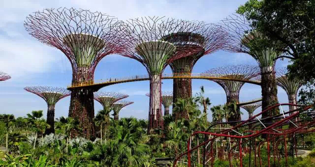 我在新加坡的日子(1)900