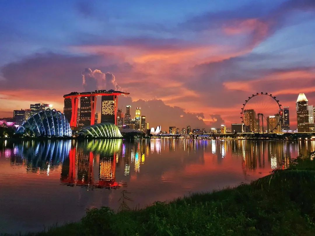 今增XX，累计XX|新加坡6月底是否能恢复几乎所有经济活动，就看下周了