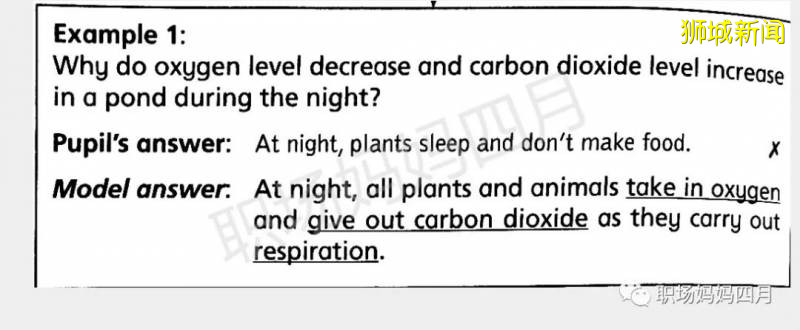 新加坡科學全球第一!一文分析小學科學學什麽?考什麽