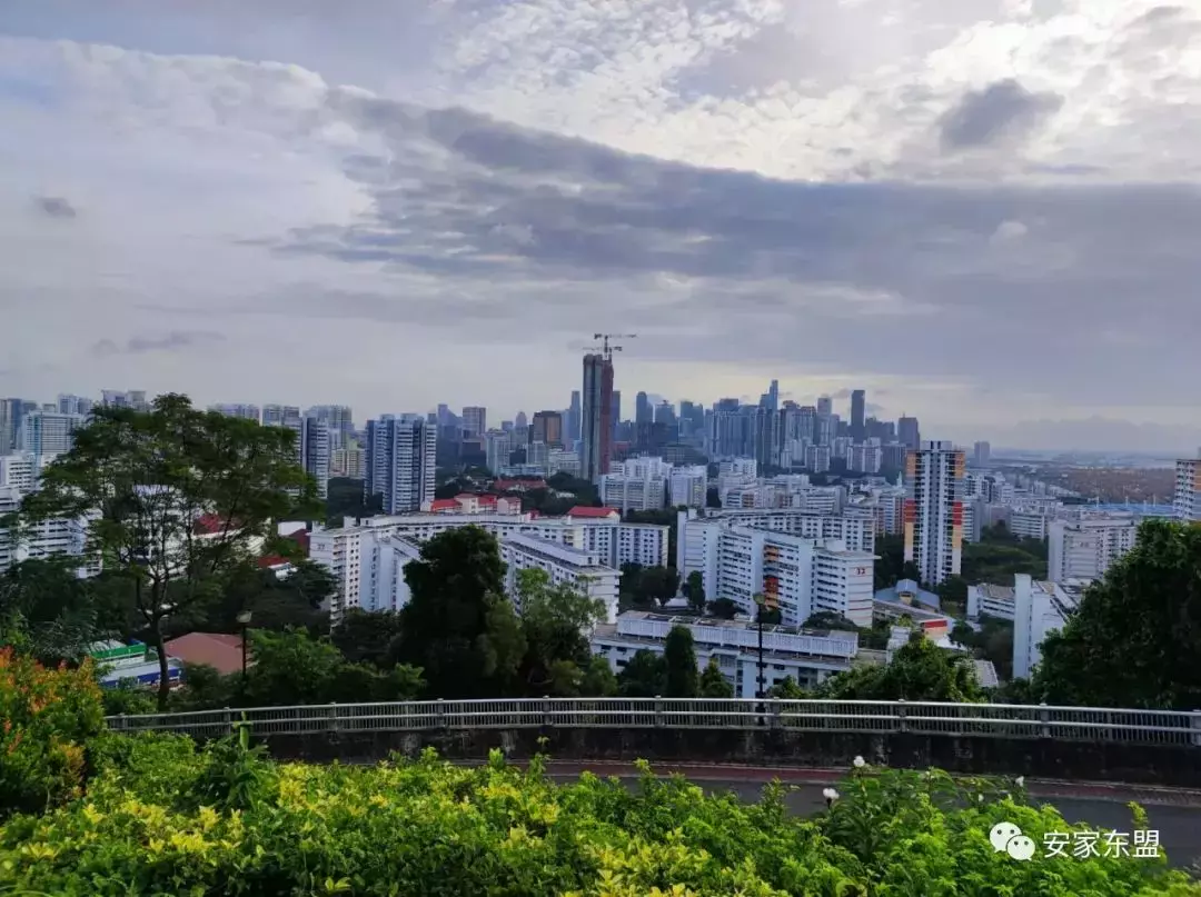 南峰雅苑剩下單位不多,過年促銷,靠近市區性價比最高的學區房