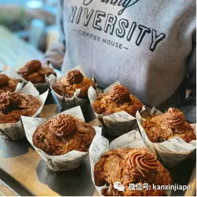 解锁樟宜机场的隐藏玩法,新加坡新晋打卡点