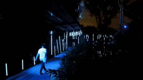 低至S$8！就3天！新加坡動物園“幻光雨林之夜”強勢回歸，亞洲第一夜遊體驗