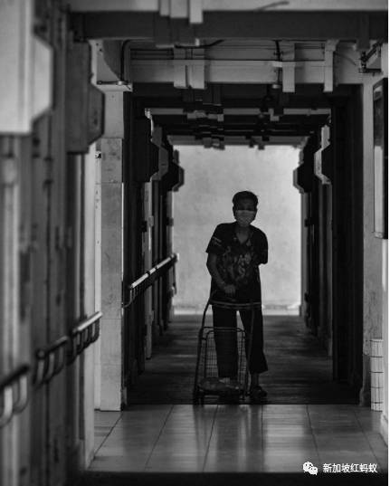 新加坡人镜头下“家的形状”是什么? 答案就在2500多张照片里