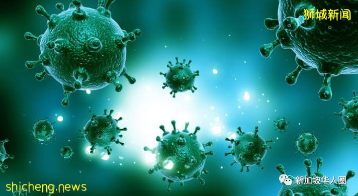 新增262例!新加坡發現染病首周,大量病毒附著物體表面和空氣中!