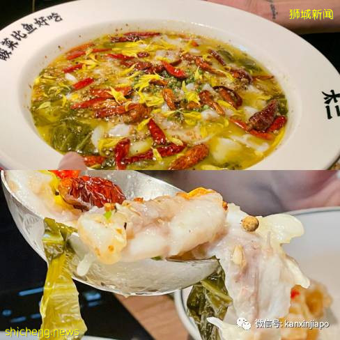 等了6年，風靡中國的網紅酸菜魚終于來新加坡了