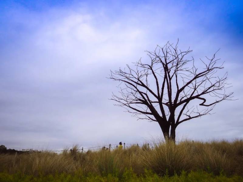NTU 周邊的絕美拍照聖地,你不想去打卡嘛