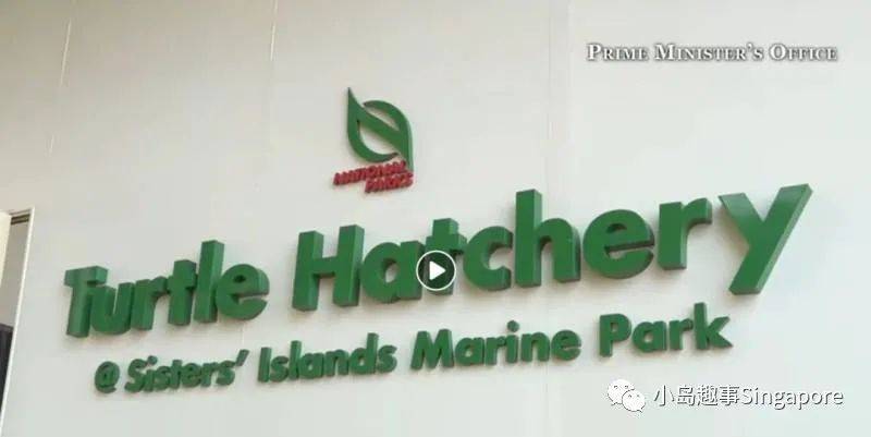 新加坡5個最美離島攻略，花十幾新幣仿佛“出國遊”