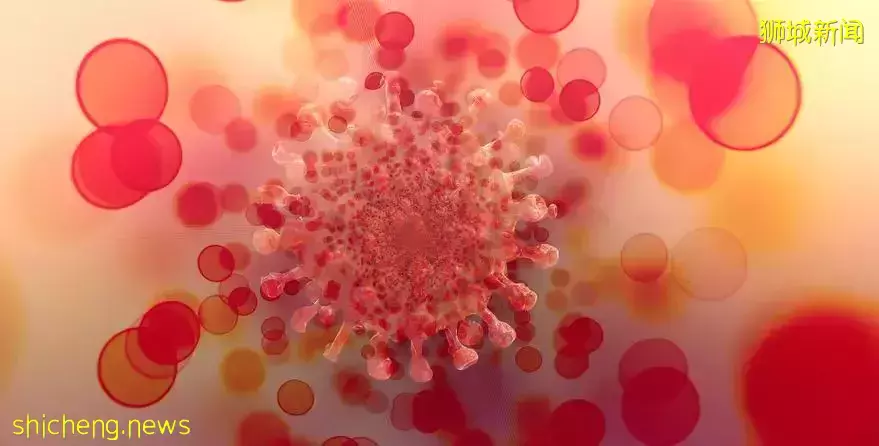 新加坡衛生部：奧密克戎近日或會傳入社區！回國機票飙漲，锺南山透露中國邊境開放時間