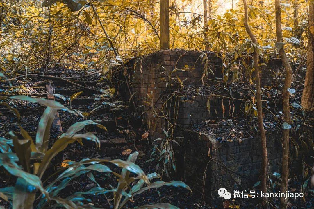 有茅房、有砖门!新加坡保留最完整的中国村藏这里