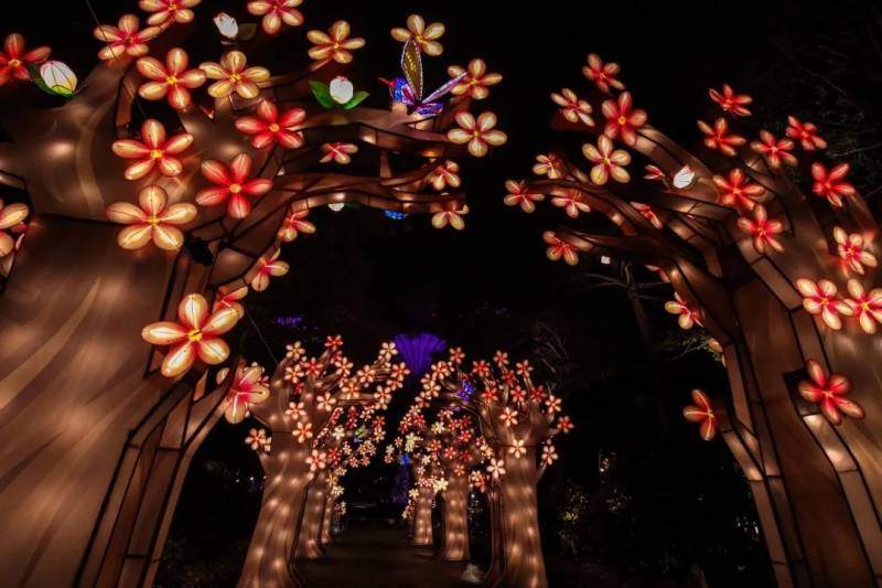 濱海灣花園慶中秋活動正式開啓,每晚7點亮燈,爲期2周,免費入場