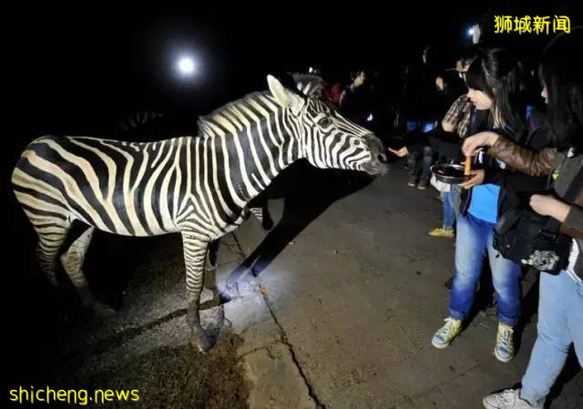 新加坡最全旅游攻略