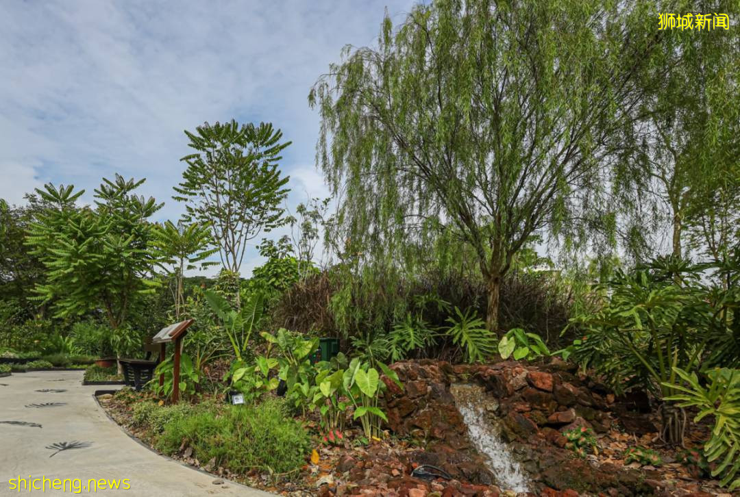 【周末去哪】小CK5折、玩具手辦&時空體驗館買1送1、兔子咖啡館、新餐廳
