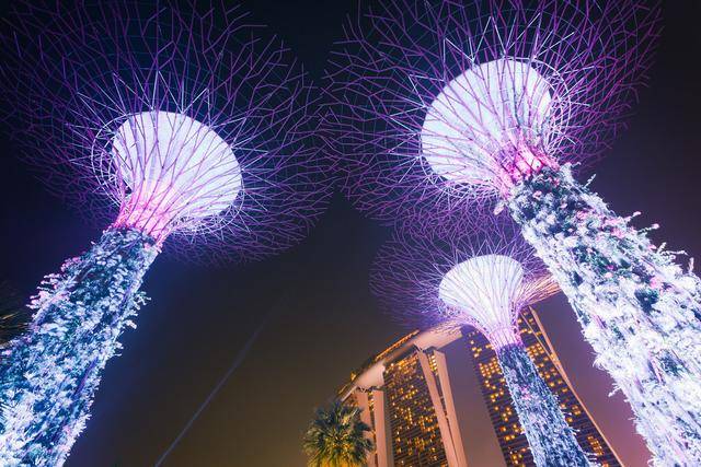 太多有钱人,华人控制下的新加坡,50年间怎么创造那么多富豪