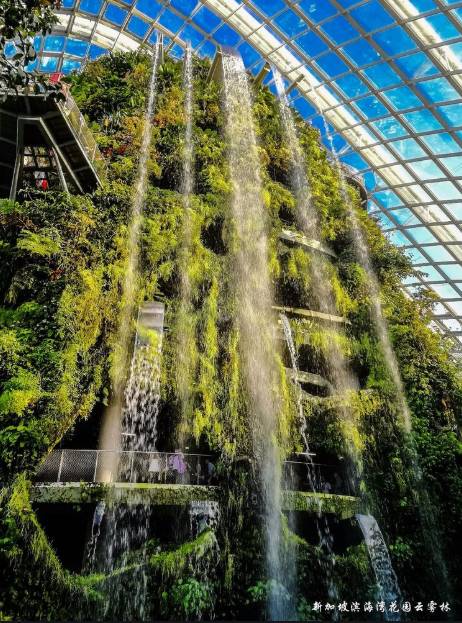 新加坡 10大趣味小知识