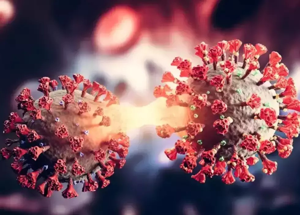 新冠病毒再次变异成德尔塔克戎,专家:较不会发生在新加坡