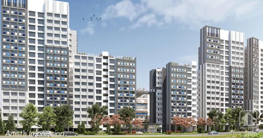 今年最后一次组屋预购活动中，宏茂桥与淡滨尼地段最抢手