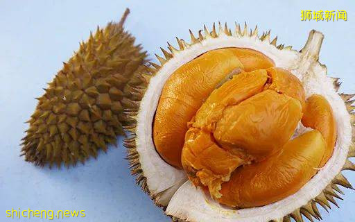 新加坡美食攻略之 -----榴梿篇