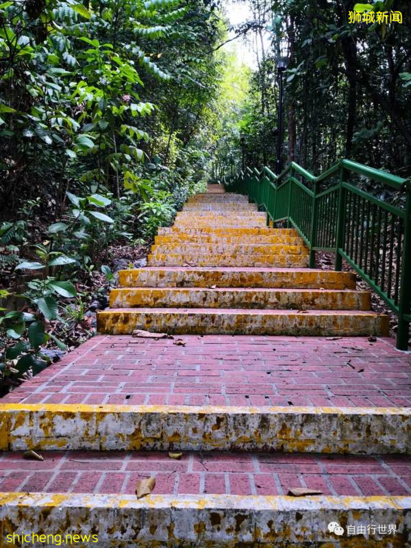 疫情過後,去新加坡不可錯過的16個體驗!