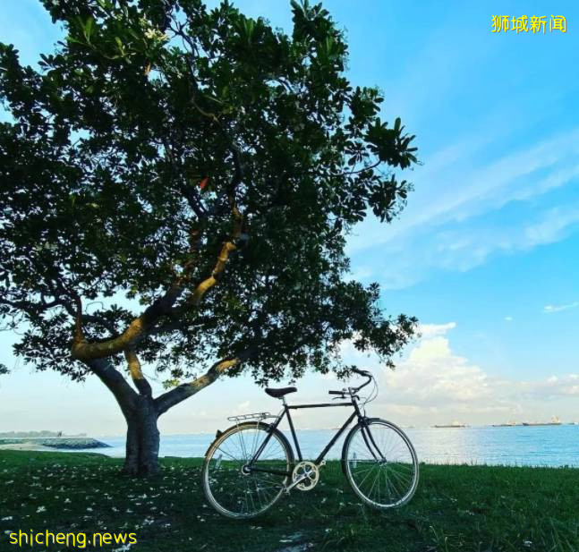 騎行必看！新加坡全島自行車租賃指南，低至$5/天