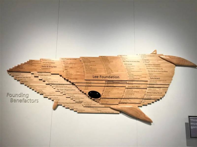 新加坡国立大学自然历史博物馆的游学笔记