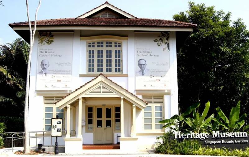 不喜歡人擠人？來新加坡植物園看聖誕燈飾、“世界之樹”吧！入場免費