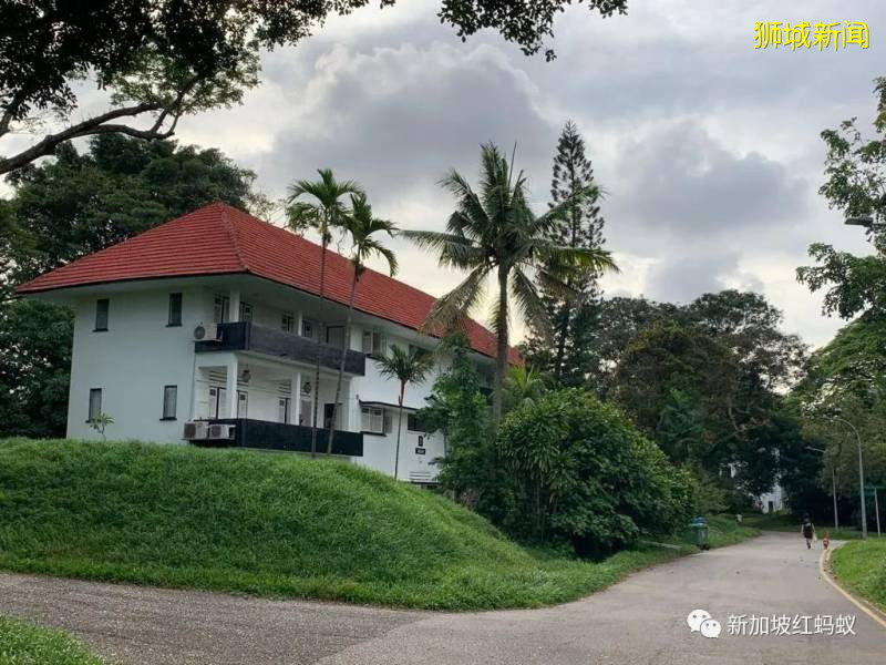 重新发现新加坡 东陵福有你未曾注意过的精彩