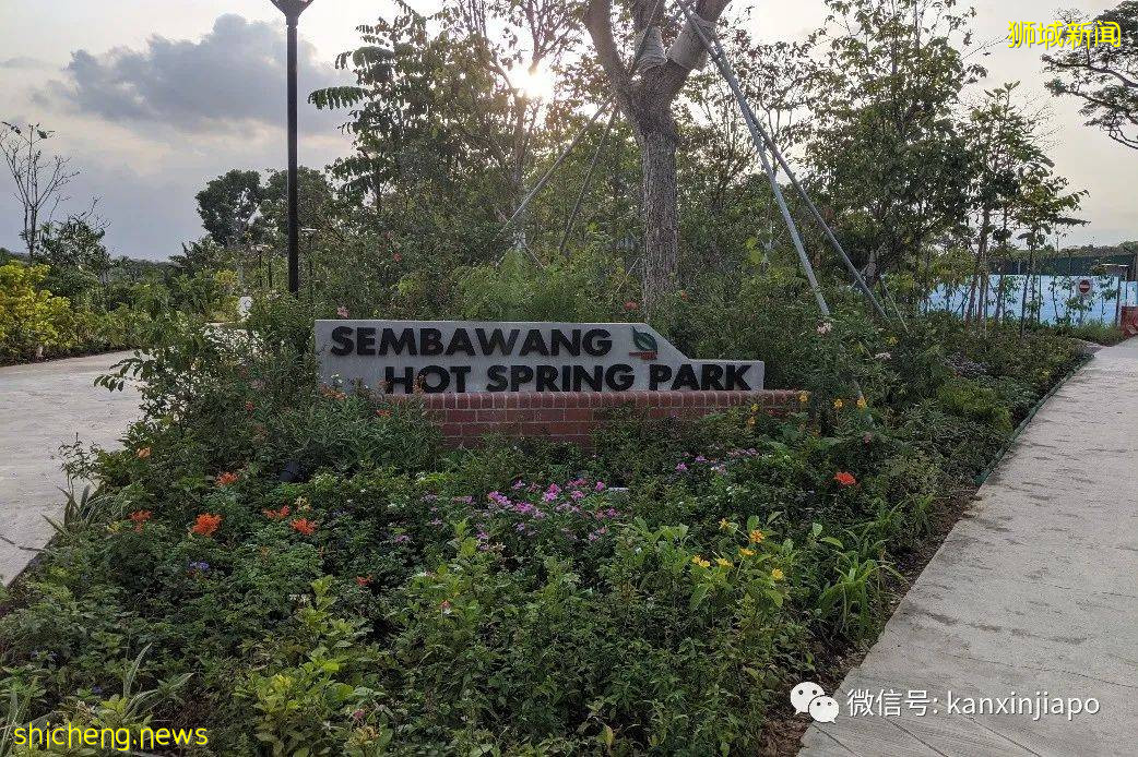 新加坡6个公园关闭水上娱乐设施至本月底