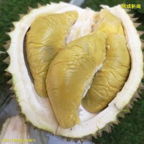 吐血整理！新加坡這20家榴梿太香了！S$11起