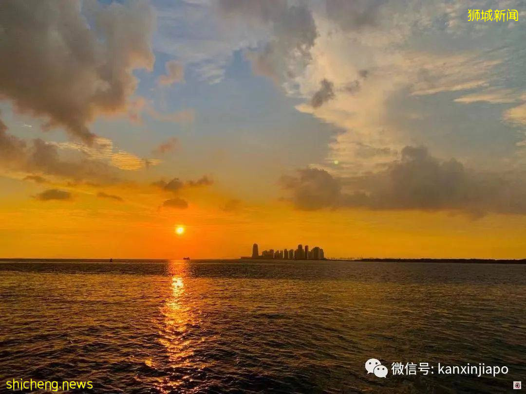 初来乍到遇上疫情,在新加坡当程序员是怎样的感觉