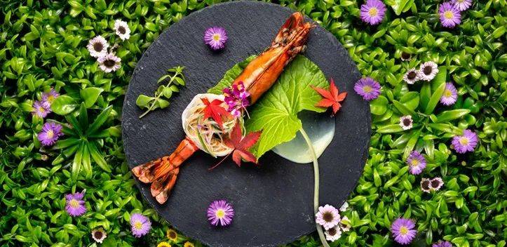 新加坡SEA海洋馆深蓝夜宴【新春特别版】登场!海底舞龙贺岁又来啦