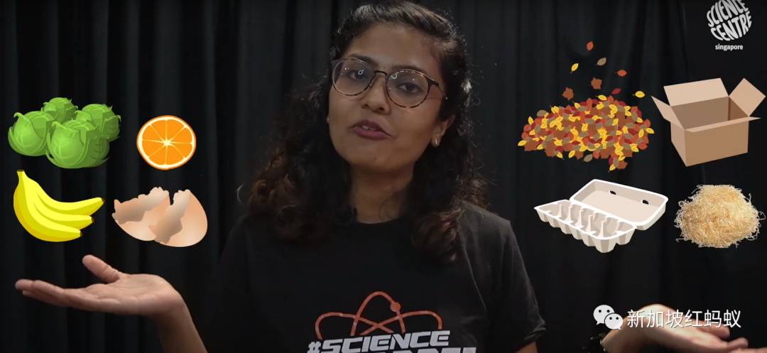 新加坡推广全民种菜,总理还在地球日教大家自制堆肥