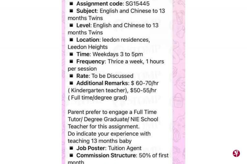 “怕输”家长找家教   13月双胞胎要补双语
