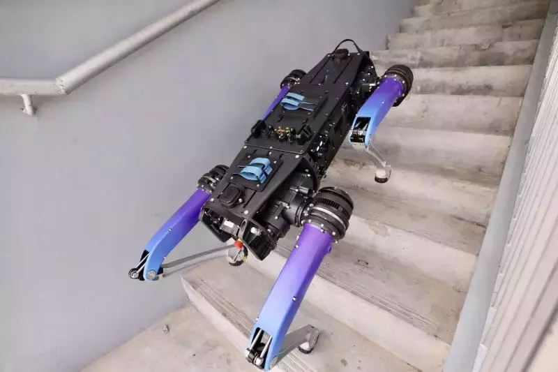 机器狗或在更多危险场合代替内政人员执行任务 