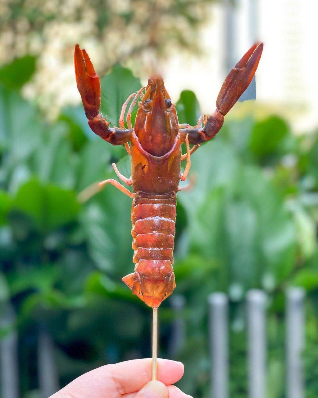 新加坡“垂釣”中心，釣蝦、魚、蟹好去處🐟🦐🦀️ 現釣現烤現吃+冷氣房釣蝦+24小時營業