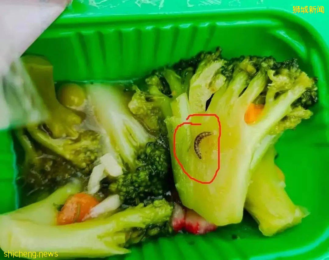 各界愛心人士同心協力爲客供宿舍捐物資,譜寫疫情下的新加坡溫情